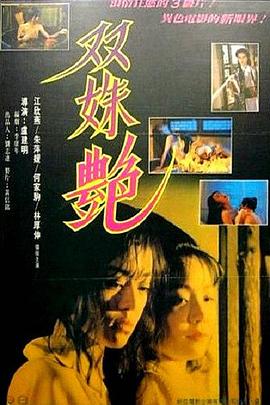 双姝艳海报