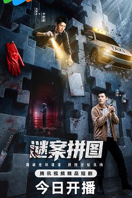 谜案拼图海报