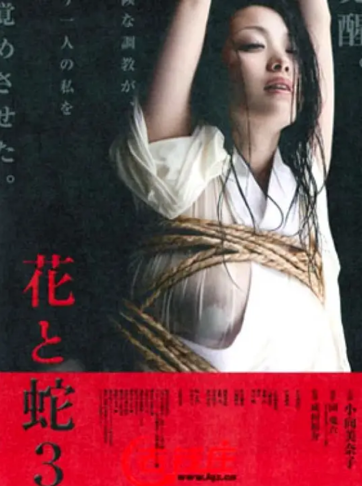 花与蛇3：白衣绳奴海报