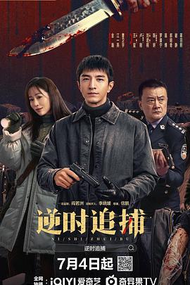 逆时追捕海报