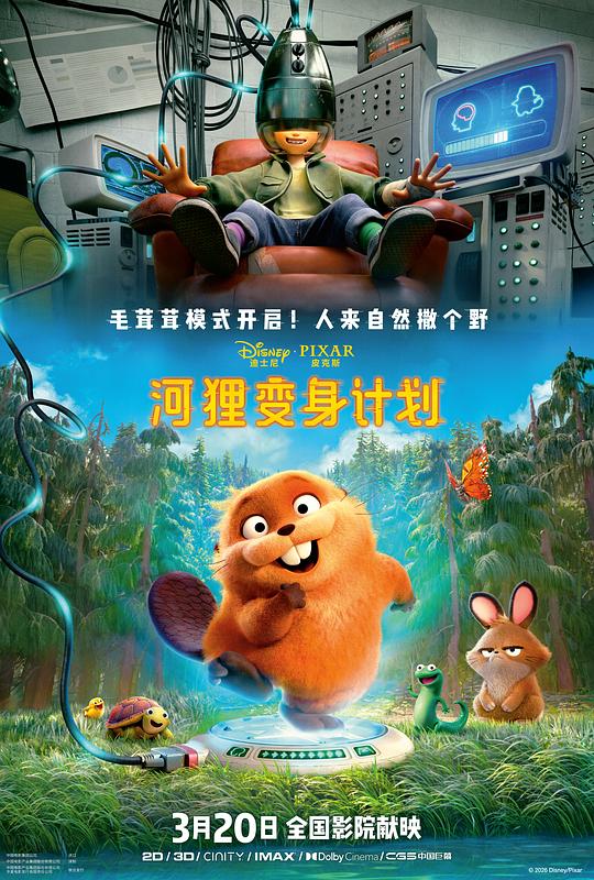 河狸变身计划海报